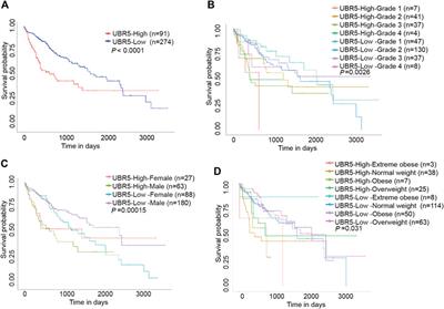 Clinicopathological Features and Prognostic Evaluation of UBR5 in Liver Cancer Patients